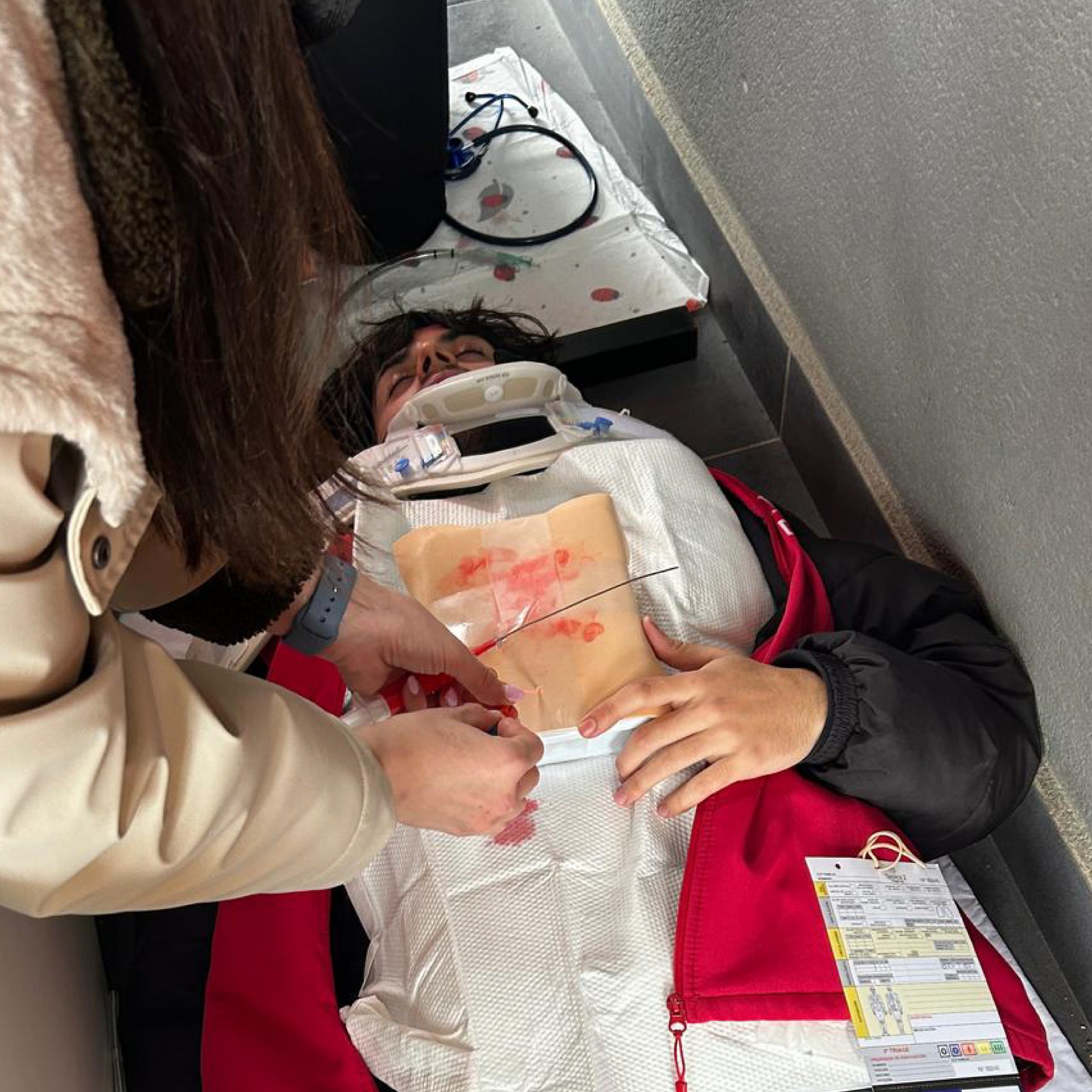 inicio galeria semes ecae 15