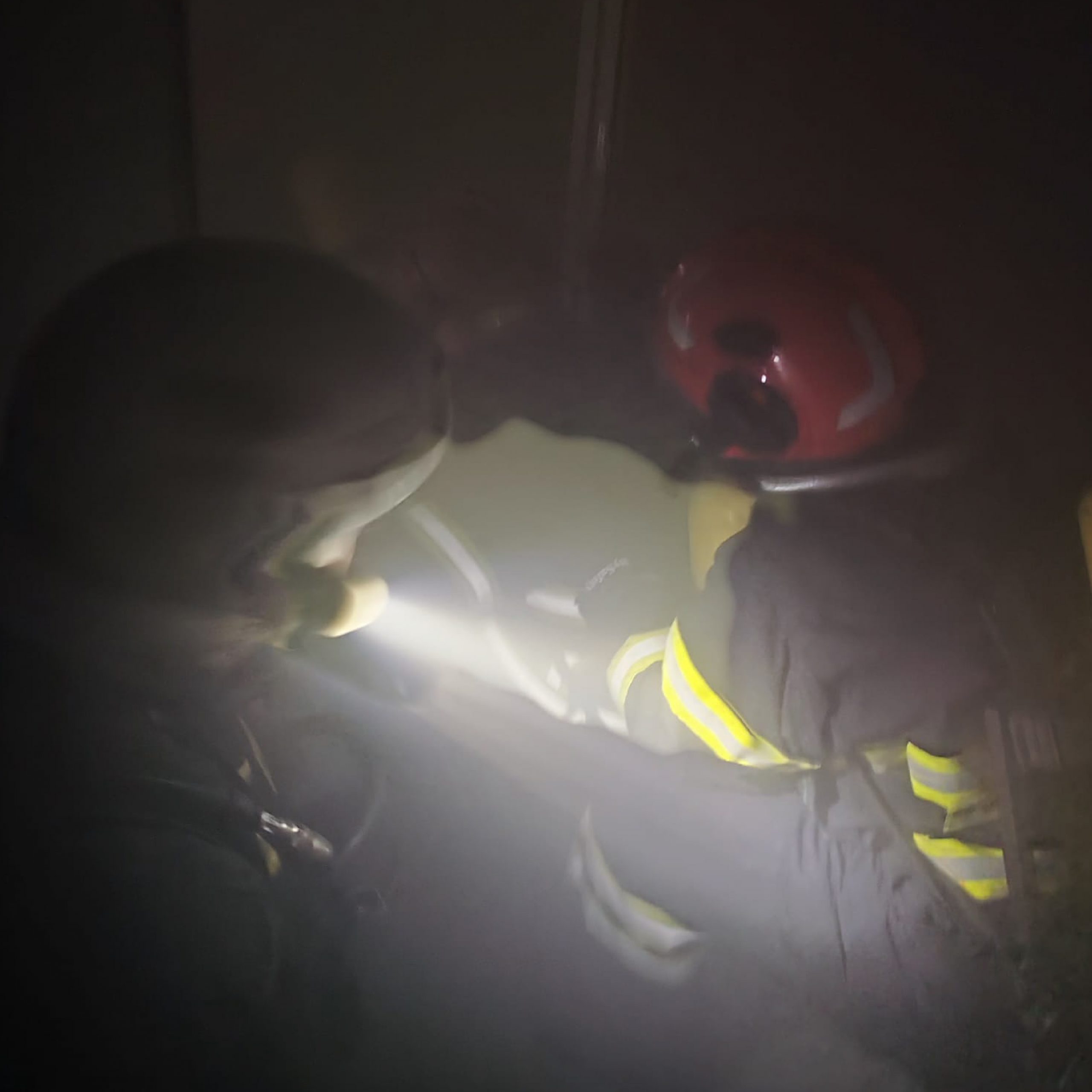 inicio galeria semes ecae 23