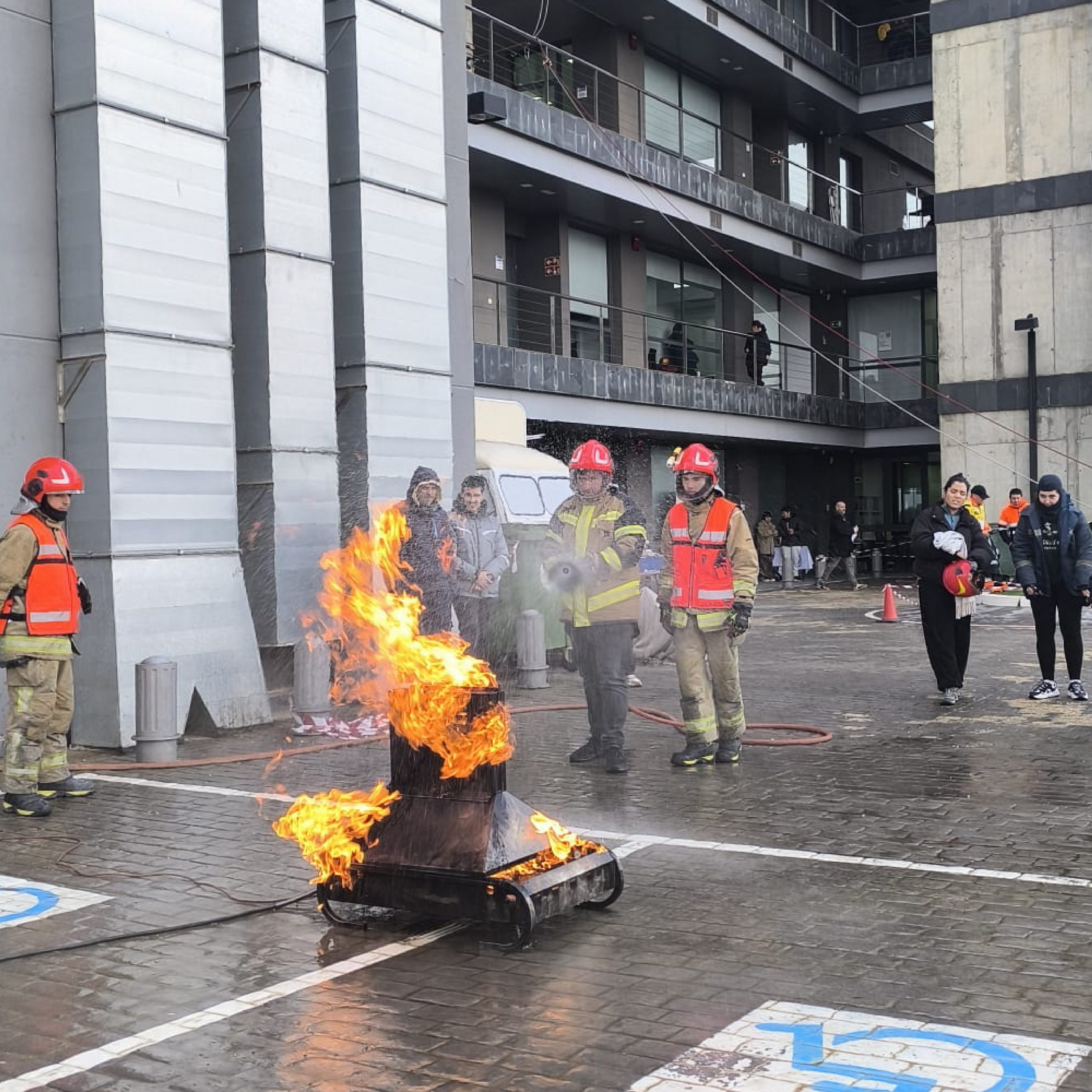 inicio galeria semes ecae 30