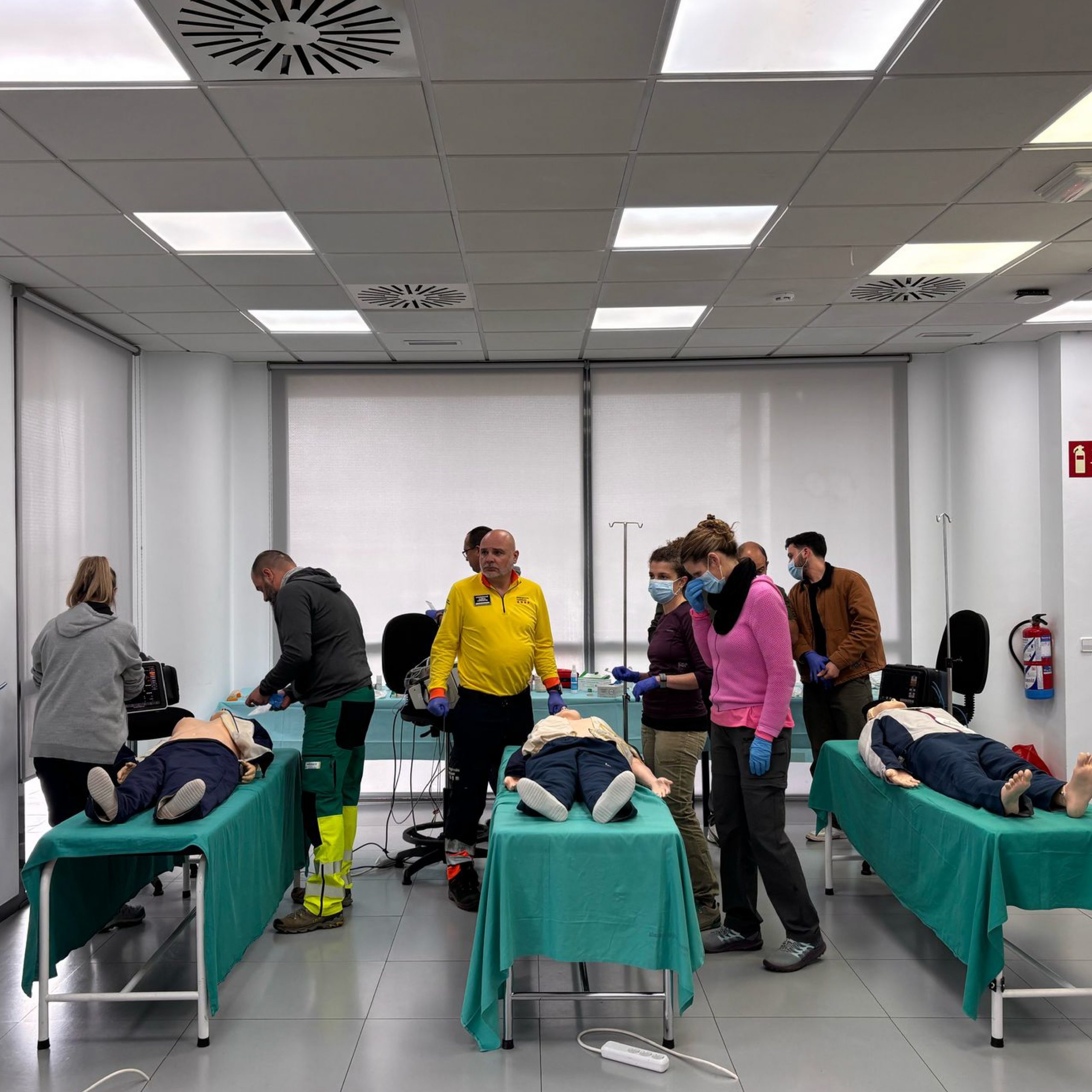 inicio galeria semes ecae 32