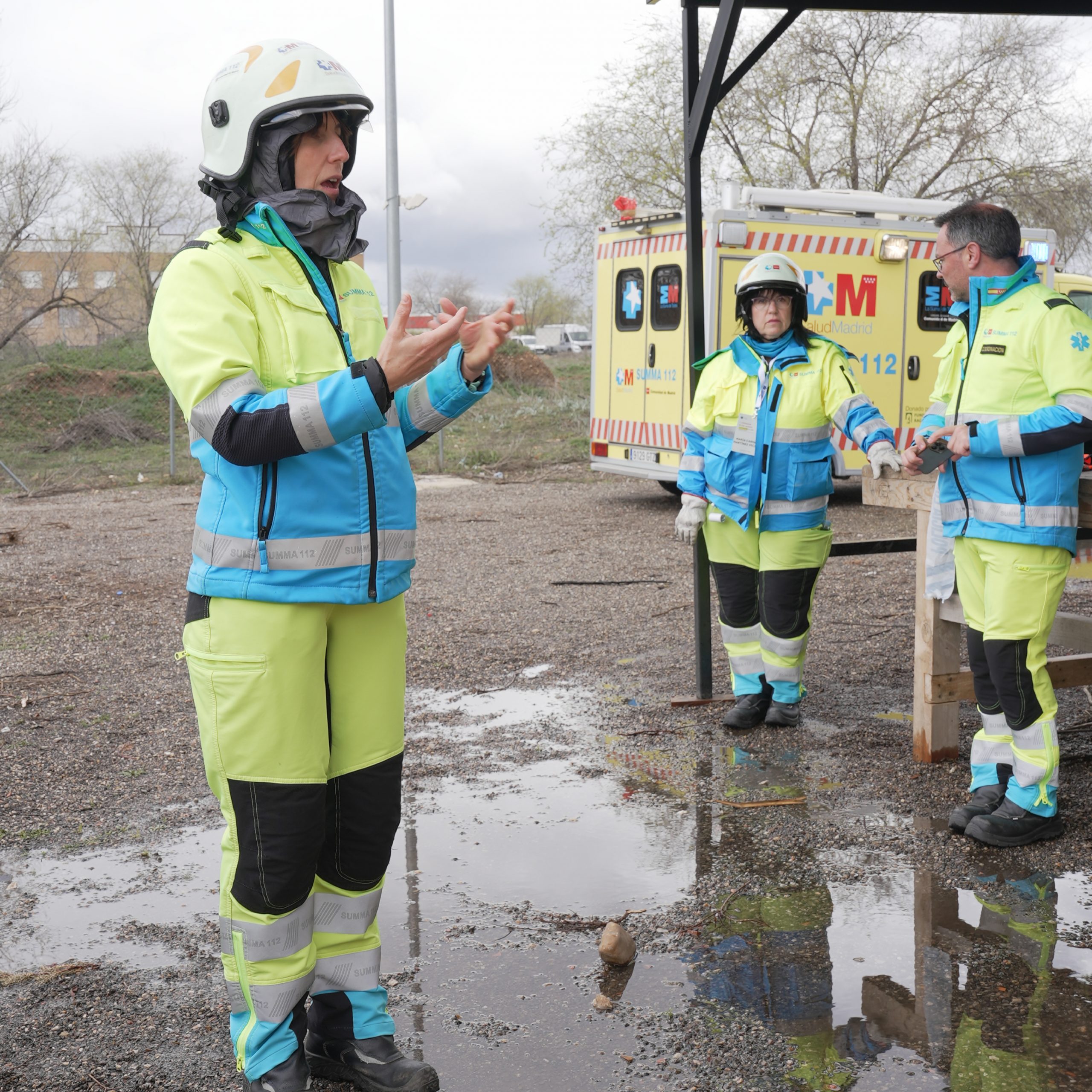 inicio galeria semes ecae 33