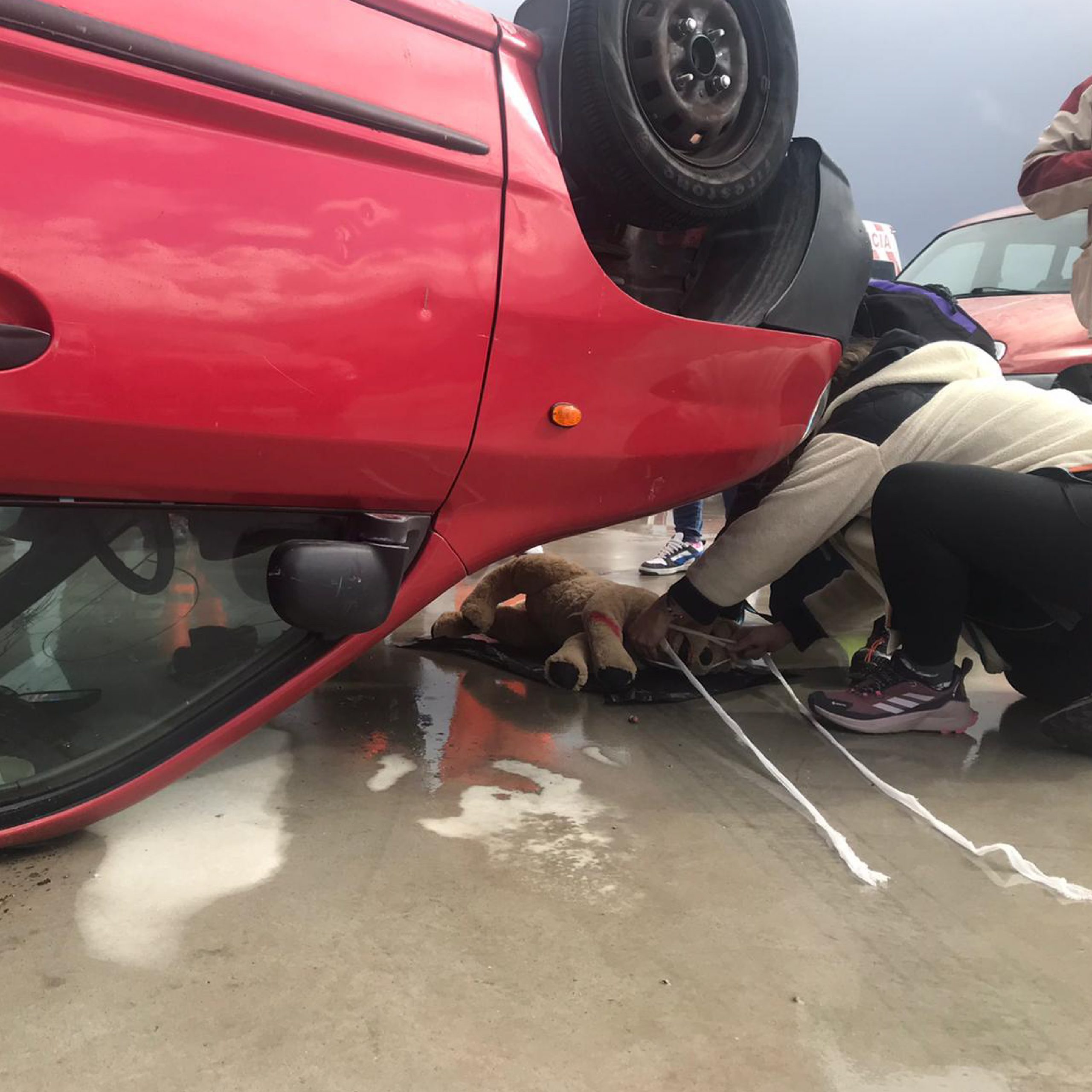 inicio galeria semes ecae 40